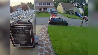 Video shows fish falling from sky, damaging car: Watch it here to believe it