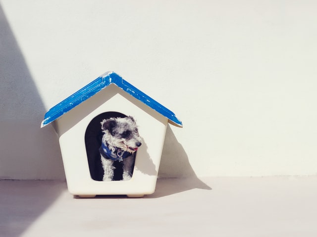 Foldable houses for dogs and cats Foldable houses for dogs and cats