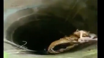 Watch: Fire department, locals rescue woman after she falls into 50-feet deep well in Wayanad