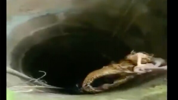 Watch: Fire department, locals rescue woman after she falls into 50-feet deep well in Wayanad