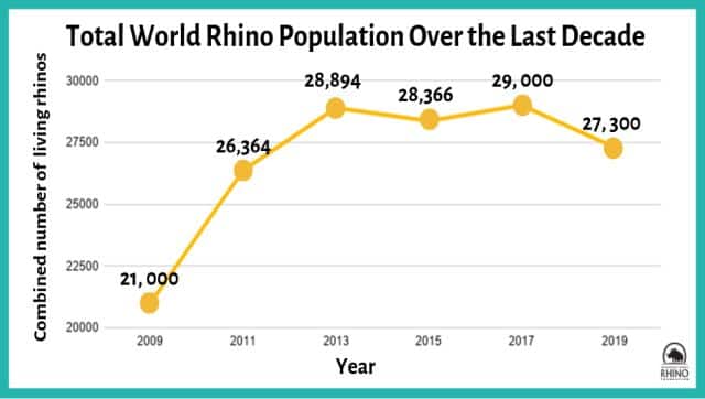 Image Courtesy: https://rhinos.org/