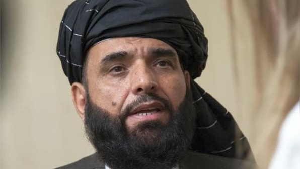 Meet Suhail Shaheen: Taliban's 'soft-spoken, calm' spokesperson named as UN envoy