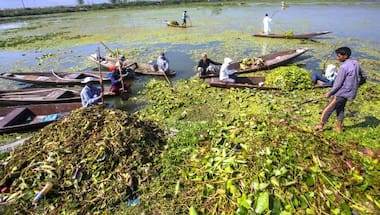 Awash in trash: Kashmir's famous Dal Lake choked with weeds and sewage