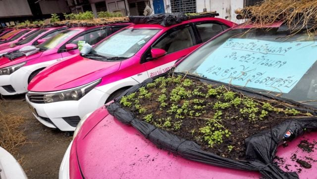 Workers at the Ratchaphruek Taxi Cooperative built the miniature gardens by stretching black bin liners across bamboo frames and covering them with soil. They then planted a variety of crops, including chillies, cucumbers and courgettes. AFP