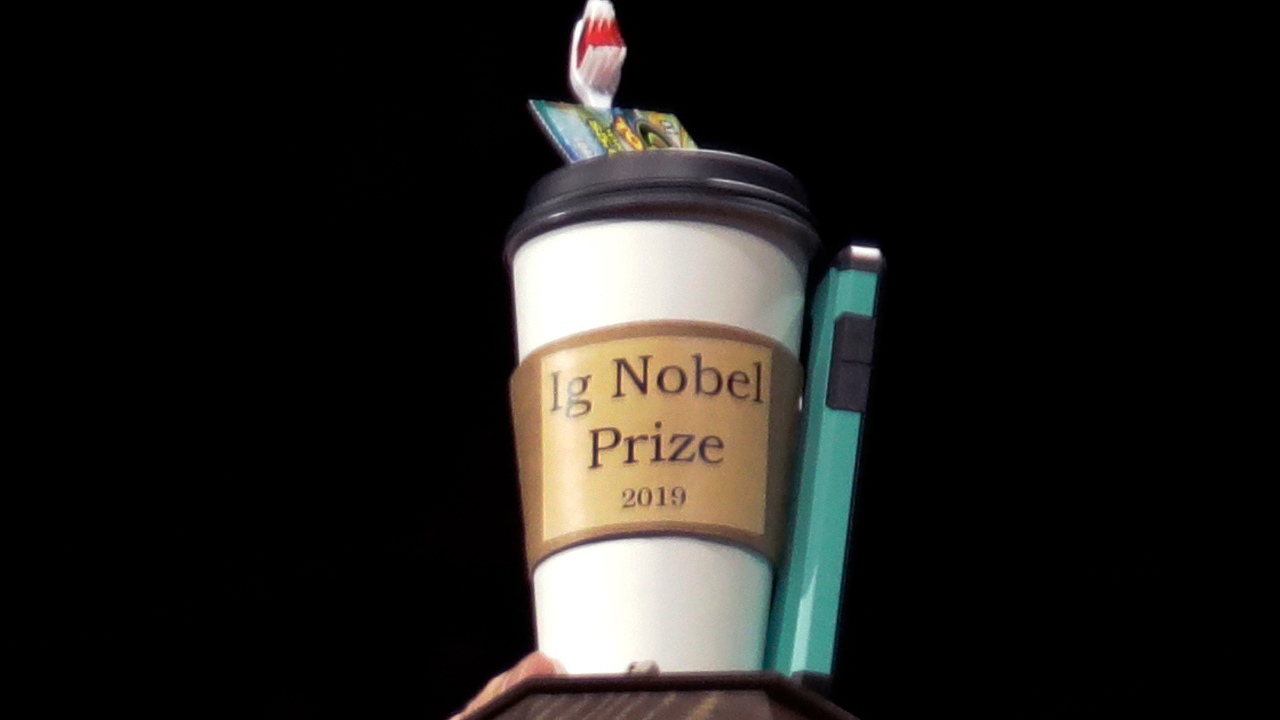 Beards are man's face armour to right to transport a rhino - Ig Nobel prizes announce winners of strange scientific discoveries Beards are man's face armour to right to transport a rhino - Ig Nobel prizes announce winners of strange scientific discoveries