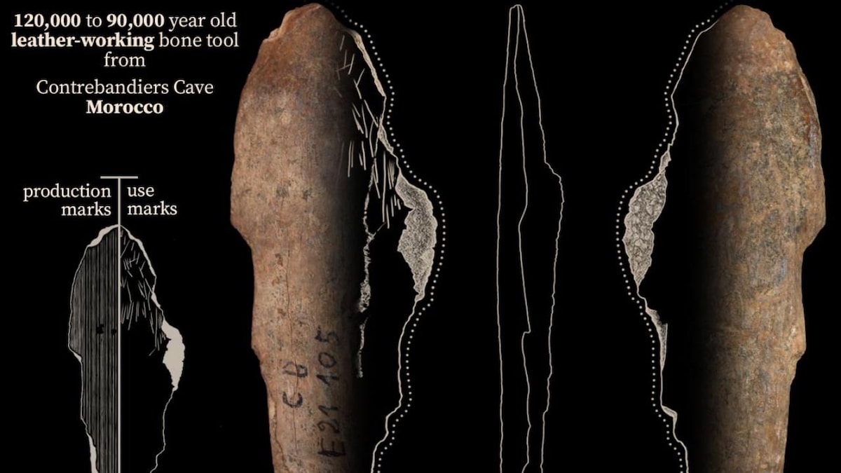 Early humans used bone tools 120,000 years ago to make clothes out of leather, fur in Morocco