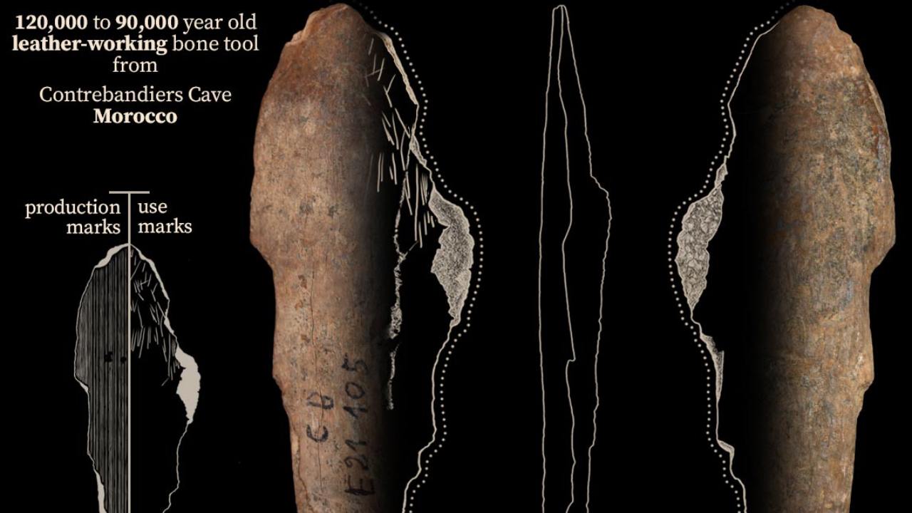 Early humans used bone tools 120,000 years ago to make clothes out of leather, fur in Morocco Early humans used bone tools 120,000 years ago to make clothes out of leather, fur in Morocco