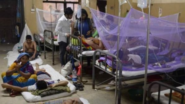 UP: Dengue outbreak has claimed 55 lives in Firozabad, says medical official