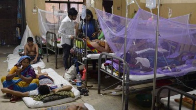 UP: Dengue outbreak has claimed 55 lives in Firozabad, says medical official UP: Dengue outbreak has claimed 55 lives in Firozabad, says medical official
