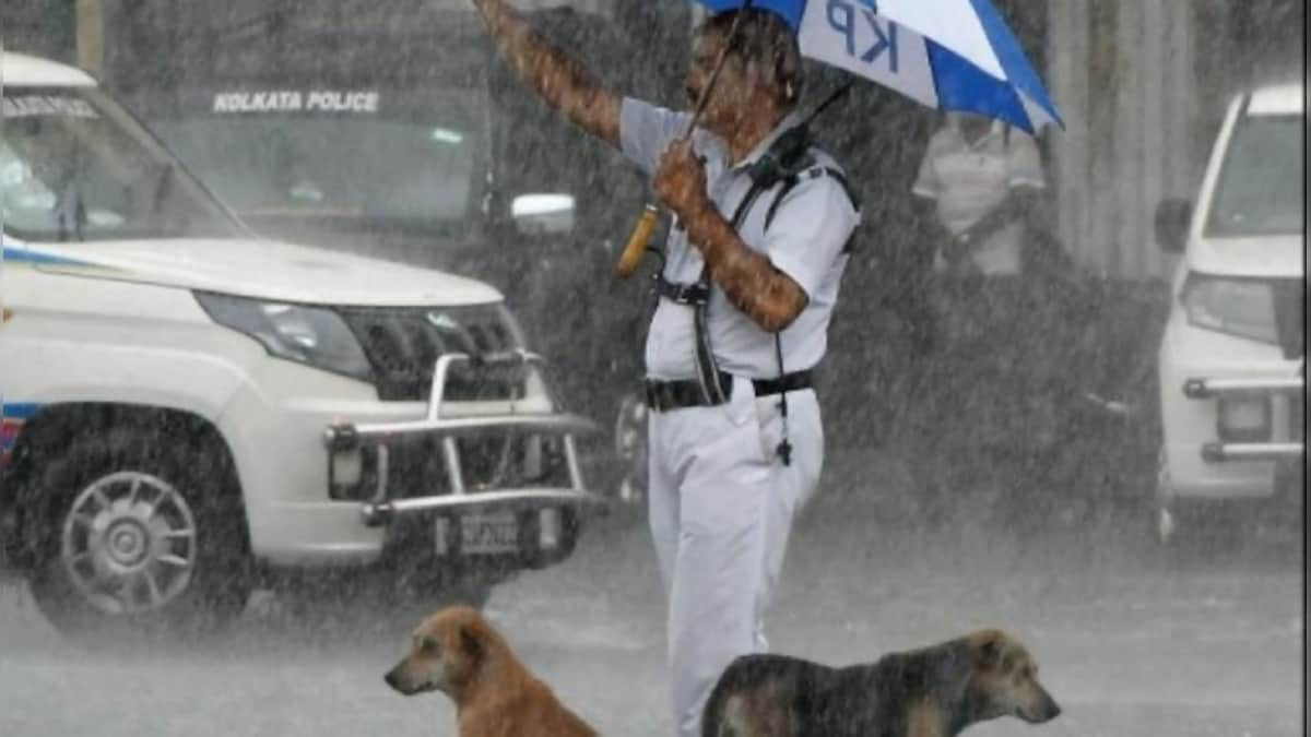 Kolkata traffic cop gives shelter to strays dogs during heavy rain; photo wins hearts on social media