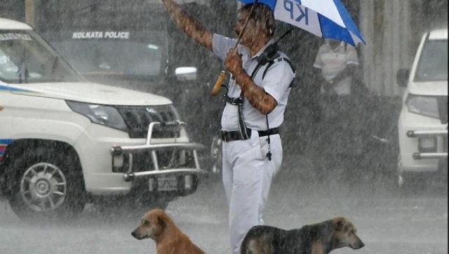 Kolkata traffic cop gives shelter to strays dogs during heavy rain; photo wins hearts on social media Kolkata traffic cop gives shelter to strays dogs during heavy rain; photo wins hearts on social media