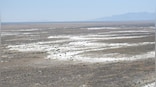 Ancient footprints dating back 23,000 years push back date of human arrival in the Americas