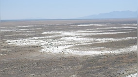 Ancient footprints dating back 23,000 years push back date of human arrival in the Americas