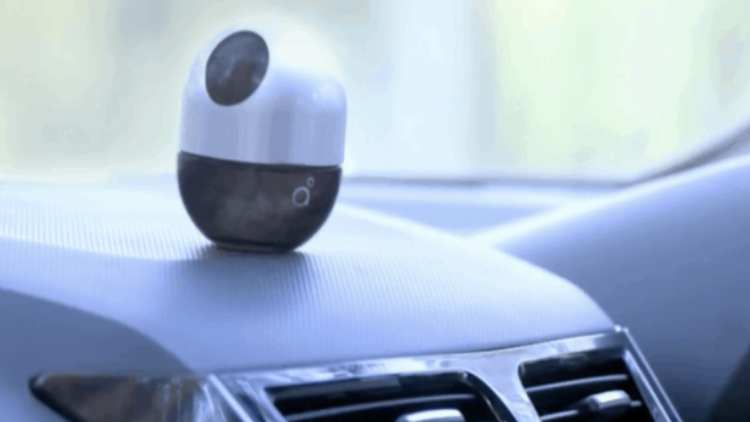 Top 4 fragrances for your car Top 4 fragrances for your car