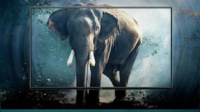 Redmi Smart TV series to launch in India today at 12 pm: How to watch it live