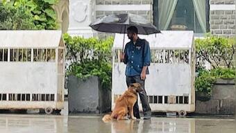 Ratan Tata shares 'heartwarming' moment of Taj employee who shared umbrella with stray dog; photo goes viral