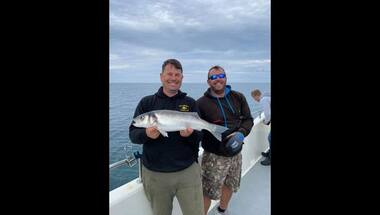Watch: Fisherman in the UK catches record-breaking 7-foot shark; releases it back into water