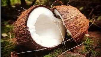 World Coconut Day 2021: Here's why the world celebrates the occasion