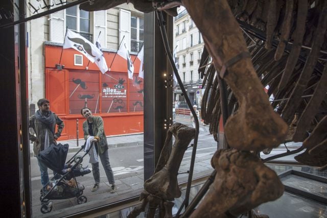 Los expertos dicen que la locura por los esqueletos de dinosaurios sigue aumentando y elevando los precios, lo que frustra a los museos y centros de investigación que a menudo no pueden recaudar fondos.  AP