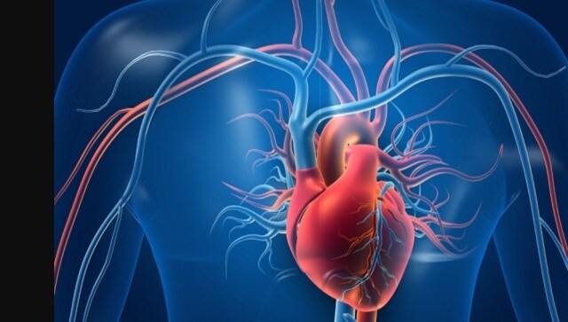 विश्व हृदय दिवस 2022: क्यों एनीमिया और दिल की विफलता के लक्षण खतरनाक रूप से ओवरलैप कर सकते हैं?