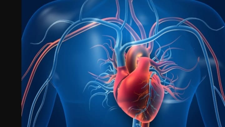 World Thrombosis Day marked on 13 Oct each year; all you need to know about event