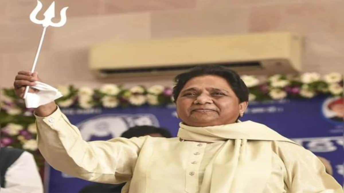 Mayawati's strategy for 2022 UP polls: Woo Brahmins, a promise of no parks and no bahubali candidates