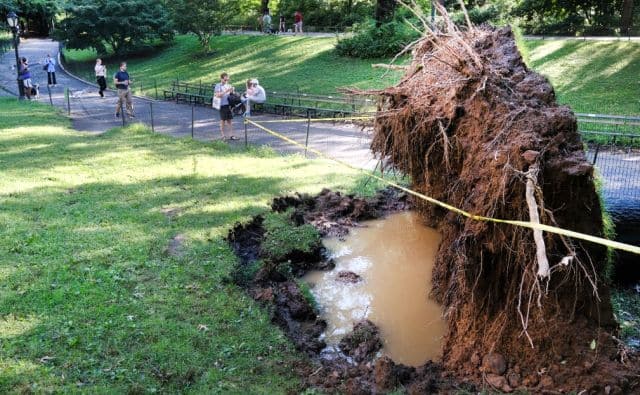 Several trees in the area were brought down by the storm and officials from the Fire Department are now clearing it up. AFP