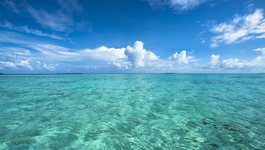 Sebi proposes blue-bond concept to ensure sustainable oceanic resource management