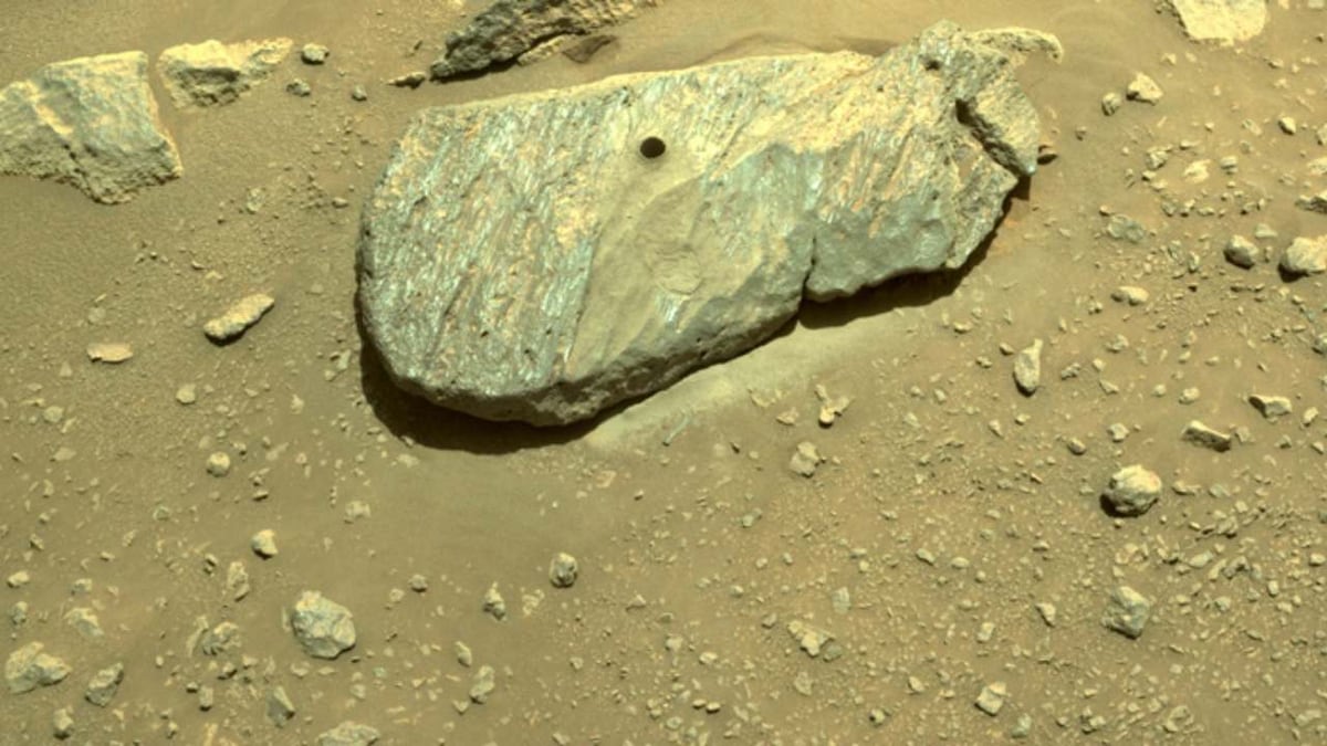 NASA's Perseverance rover might've succeeded in collecting a piece of Martian rock