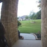 Watch: Snake lunges at Texas woman in terrifying viral video; leaves netizens stunned