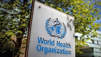 Nearly entire global population breathing polluted air, says WHO