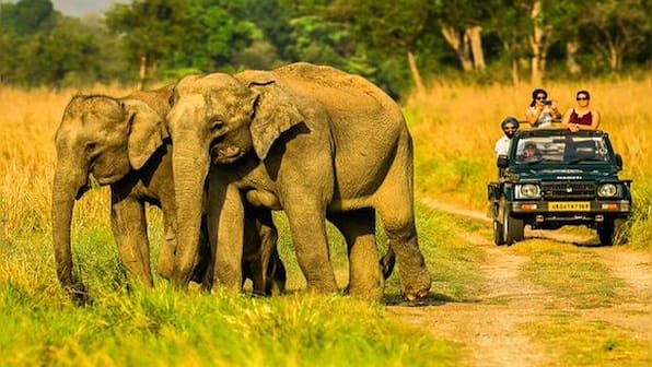 Uttarakhand’s Jim Corbett National Park likely to be renamed as Ramganga National Park