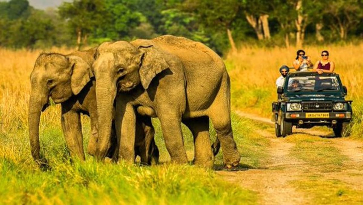 Sundarban Tourism