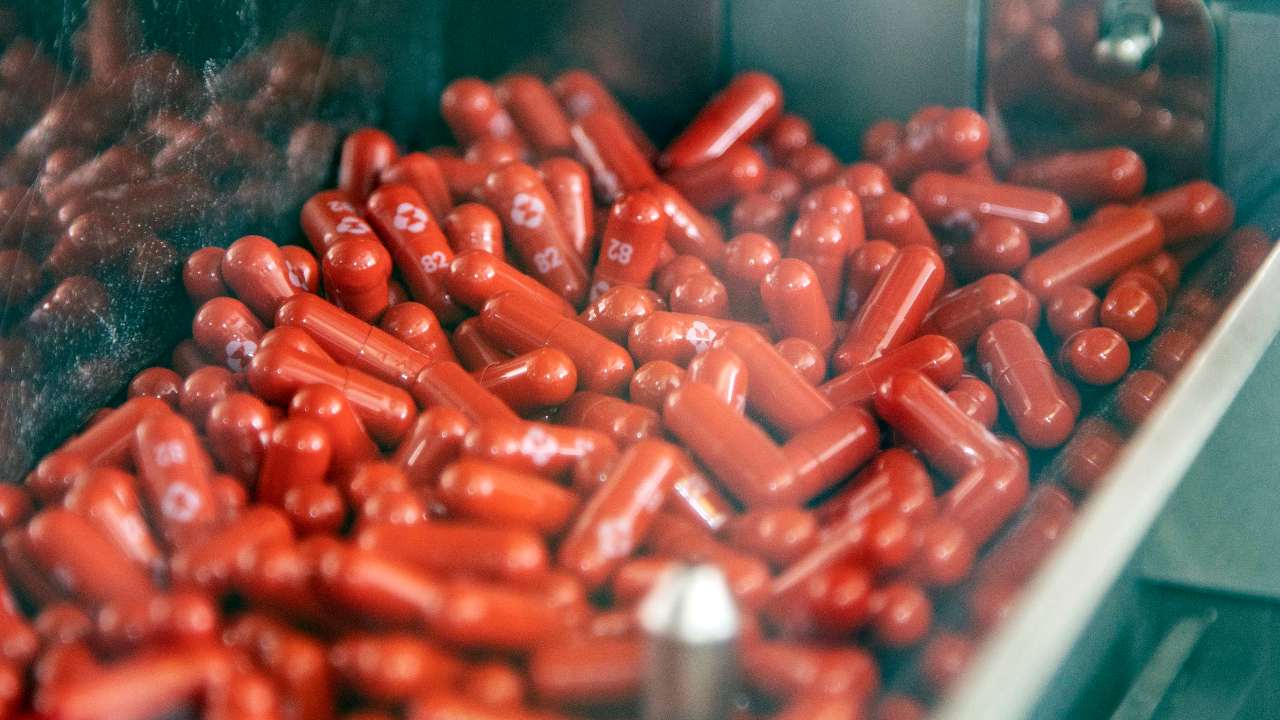 Merck's new experimental pill can treat COVID-19, reduce hospitalisation and death by half Merck's new experimental pill can treat COVID-19, reduce hospitalisation and death by half