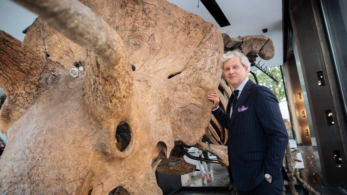 Largest triceratops skeleton unearthed, Big John, was auctioned for 6.6 million euros in Paris