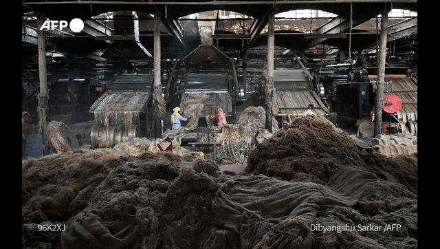 The UN Environment Programme has said the planet is 