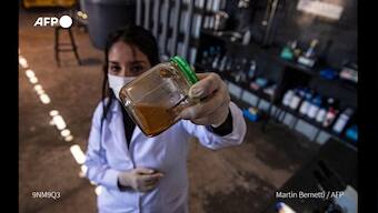 Chilean scientist discovers ways to clean up mining with 'metal eating' bacteria