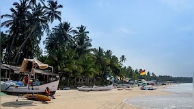 Why political scenario in Goa resembles a fish thali ahead of Assembly election next year