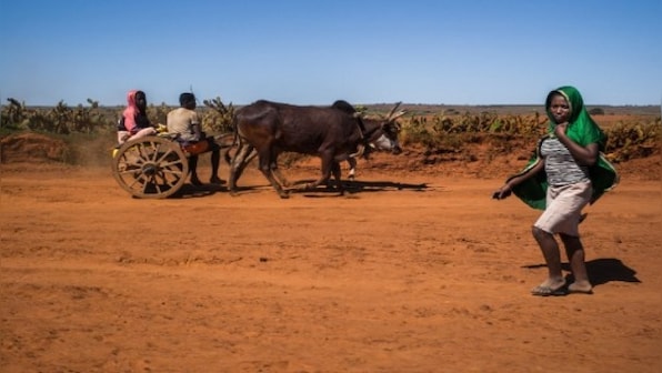 Amnesty urges immediate relief for famine-hit Madagascar amid severe drought