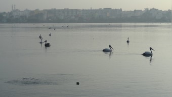 Bengaluru rains: Madiwala lake overflows flooding several localities