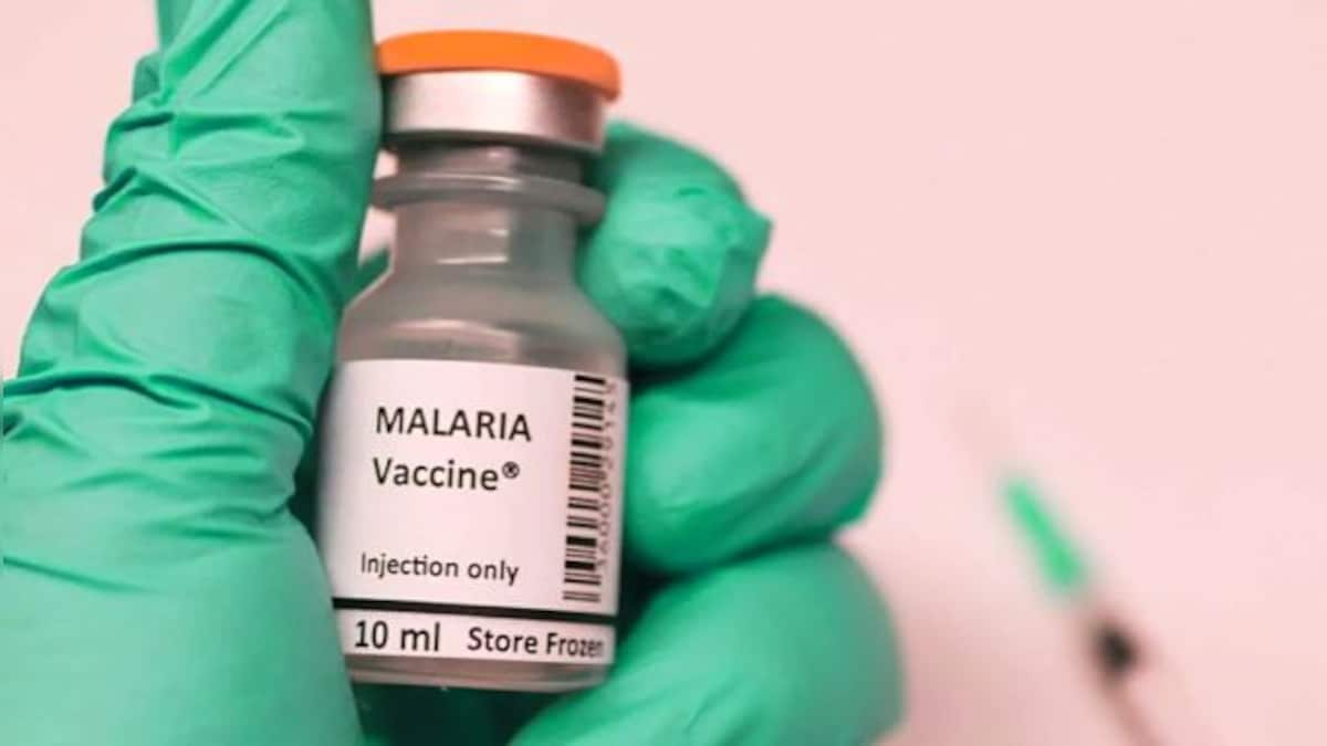 WHO approves malaria vaccine for kids: A global health expert explains why that is a big deal