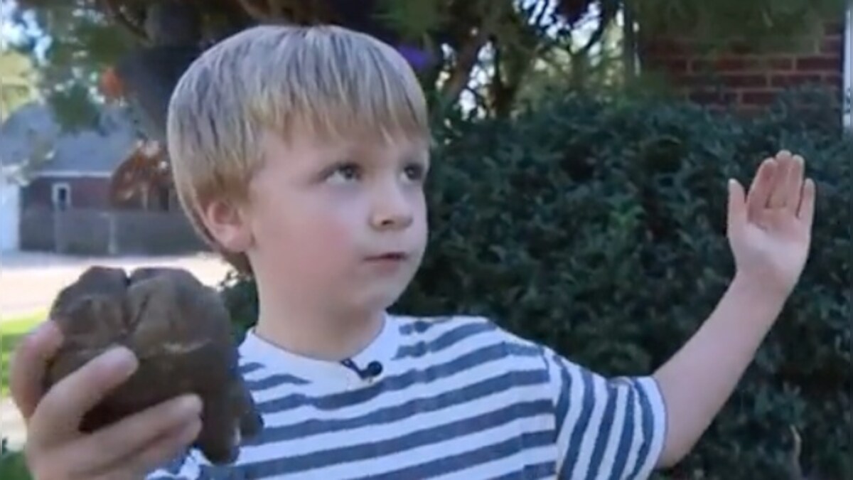 Six-year-old boy discovers rare 12,000-year-old Mastodon tooth in Michigan creek