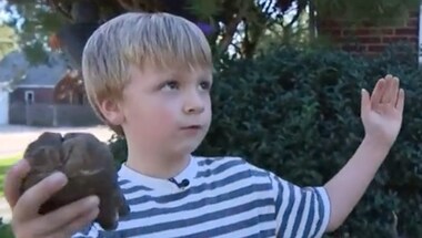 Six-year-old boy discovers rare 12,000-year-old Mastodon tooth in Michigan creek
