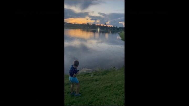 Watch: Terrifying moment alligator jumps out of water, snatches fish caught by Florida boy