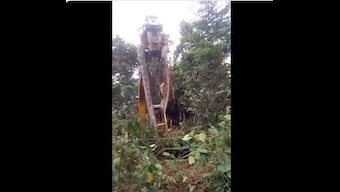 Jaw-dropping video shows massive snake being lifted by crane; clip goes viral