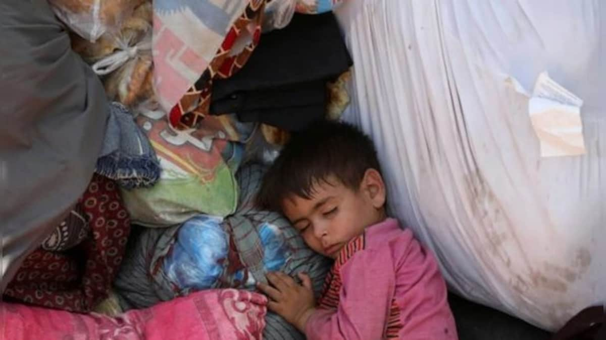 Afghanistan: More than half the country facing 'acute' food shortages, say UN agencies