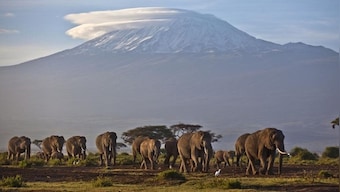 Africa’s glaciers soon to disappear; total deglaciation likely by 2040s, says report