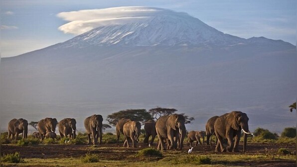 Africa’s glaciers soon to disappear; total deglaciation likely by 2040s, says report