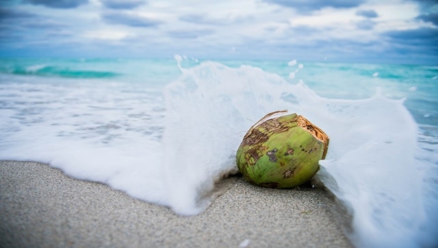 Dua warga Kepulauan Solomon tersesat di laut selama 29 hari karena kelapa dan berdoa
