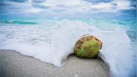 Here are some summer drinks for diabetic patients to beat the heat